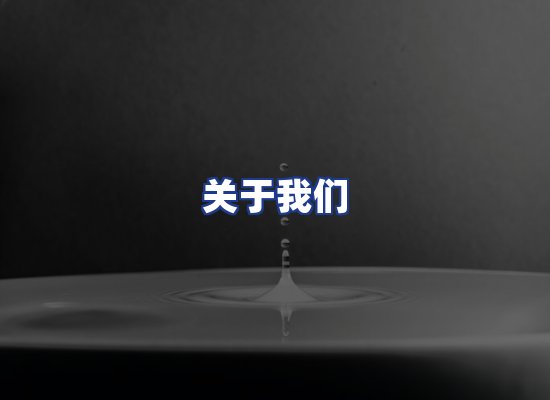 专业团队