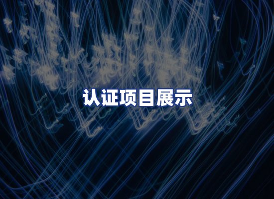 认证项目展示